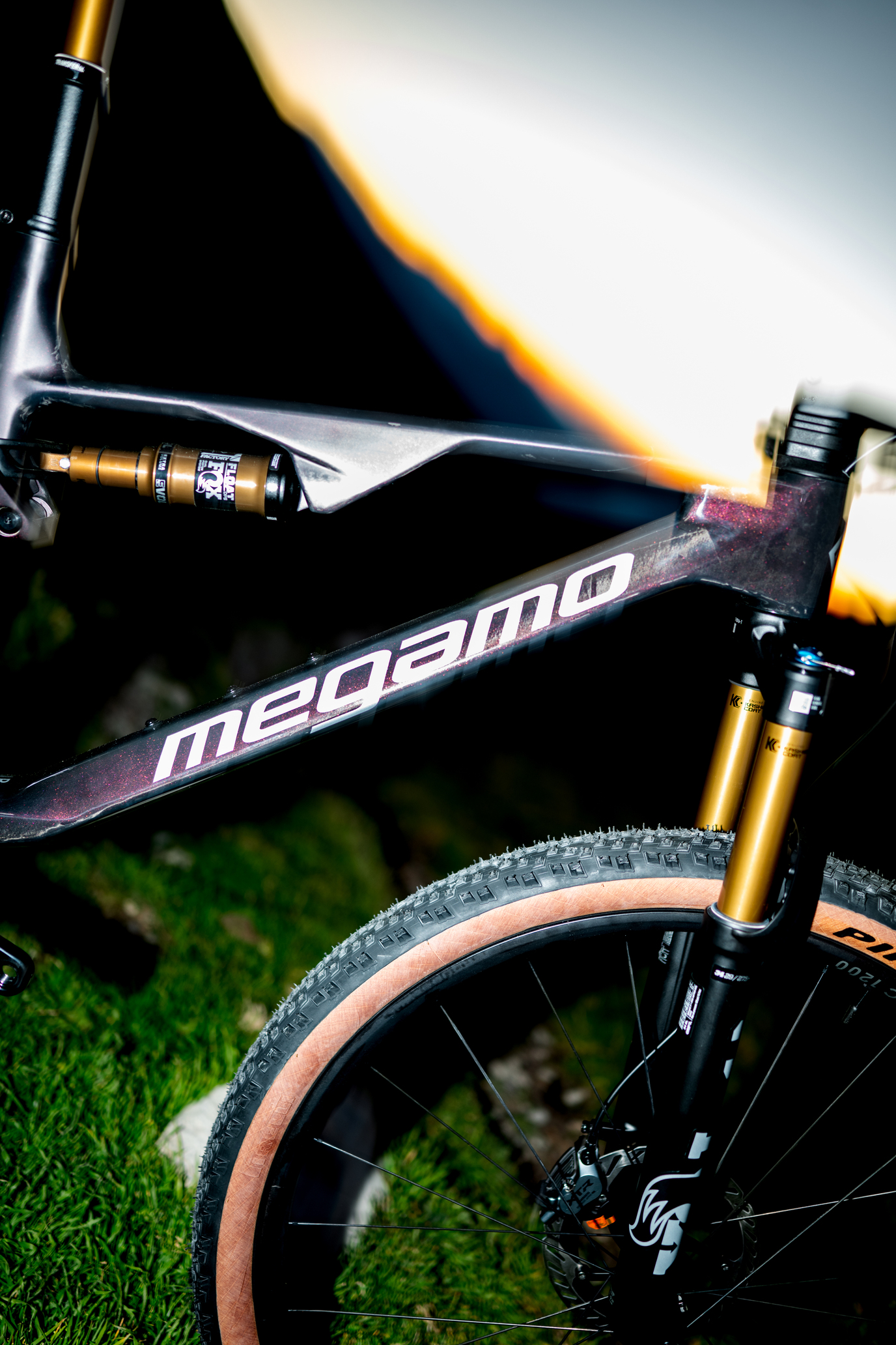 rsalanova_megamotrack25-4