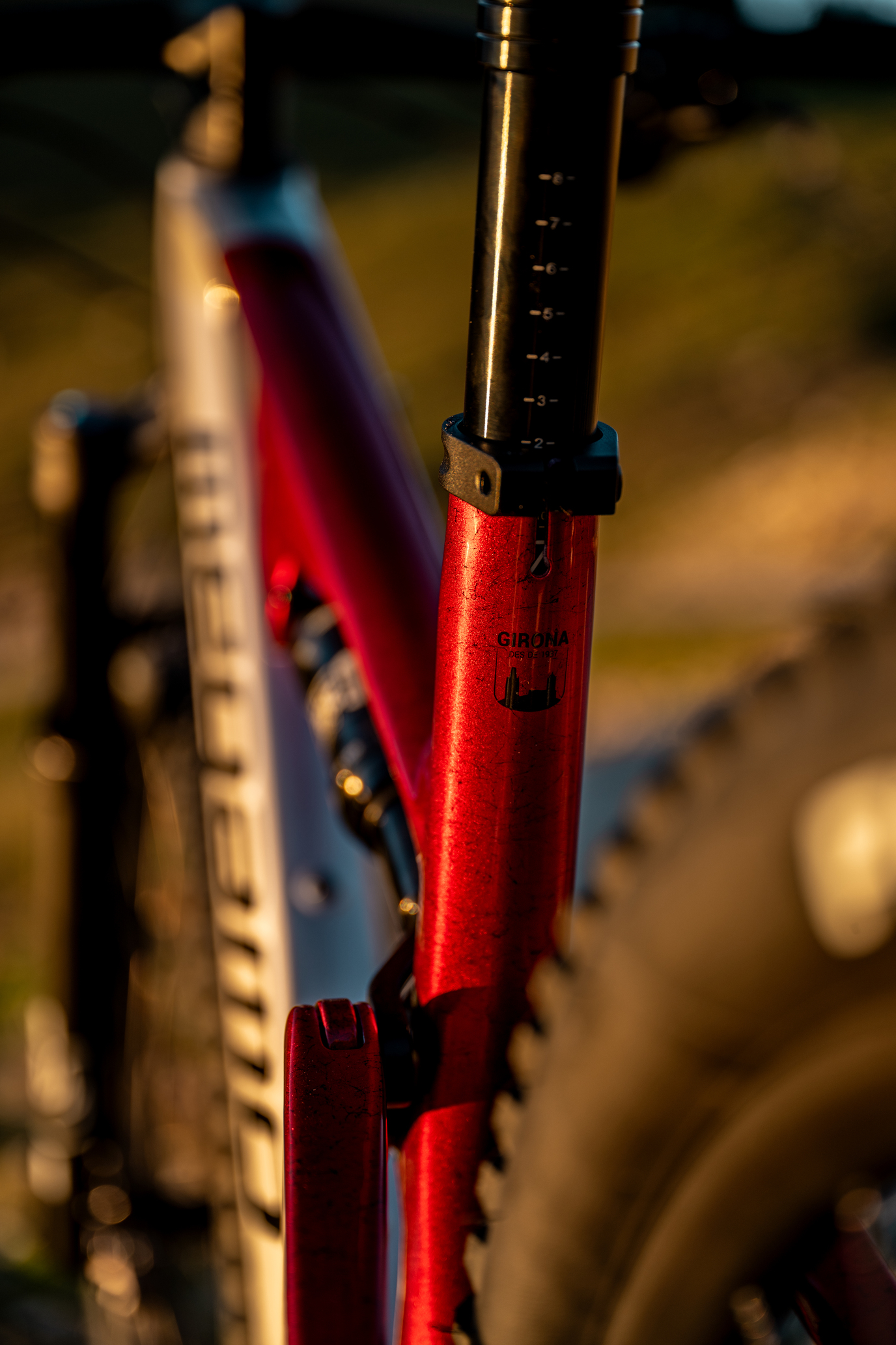 rsalanova_megamotrack25-40